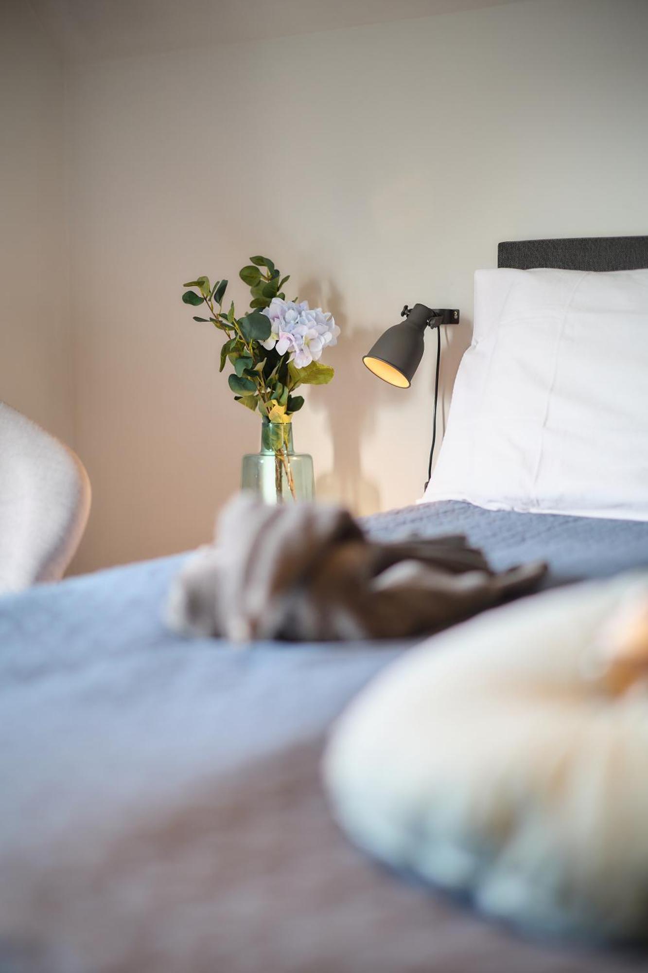 Cecha &wellness Bed and breakfast