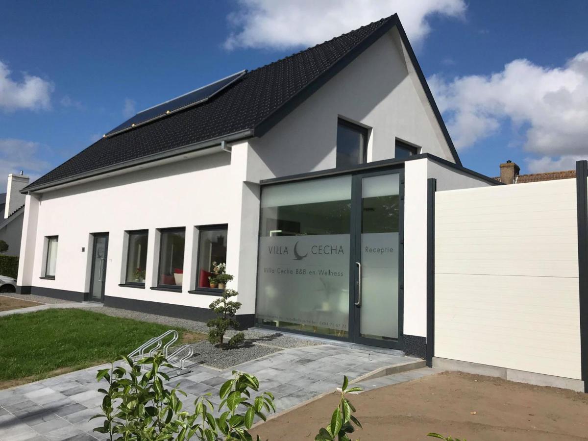 Bed and breakfast Cecha &wellness Ostende